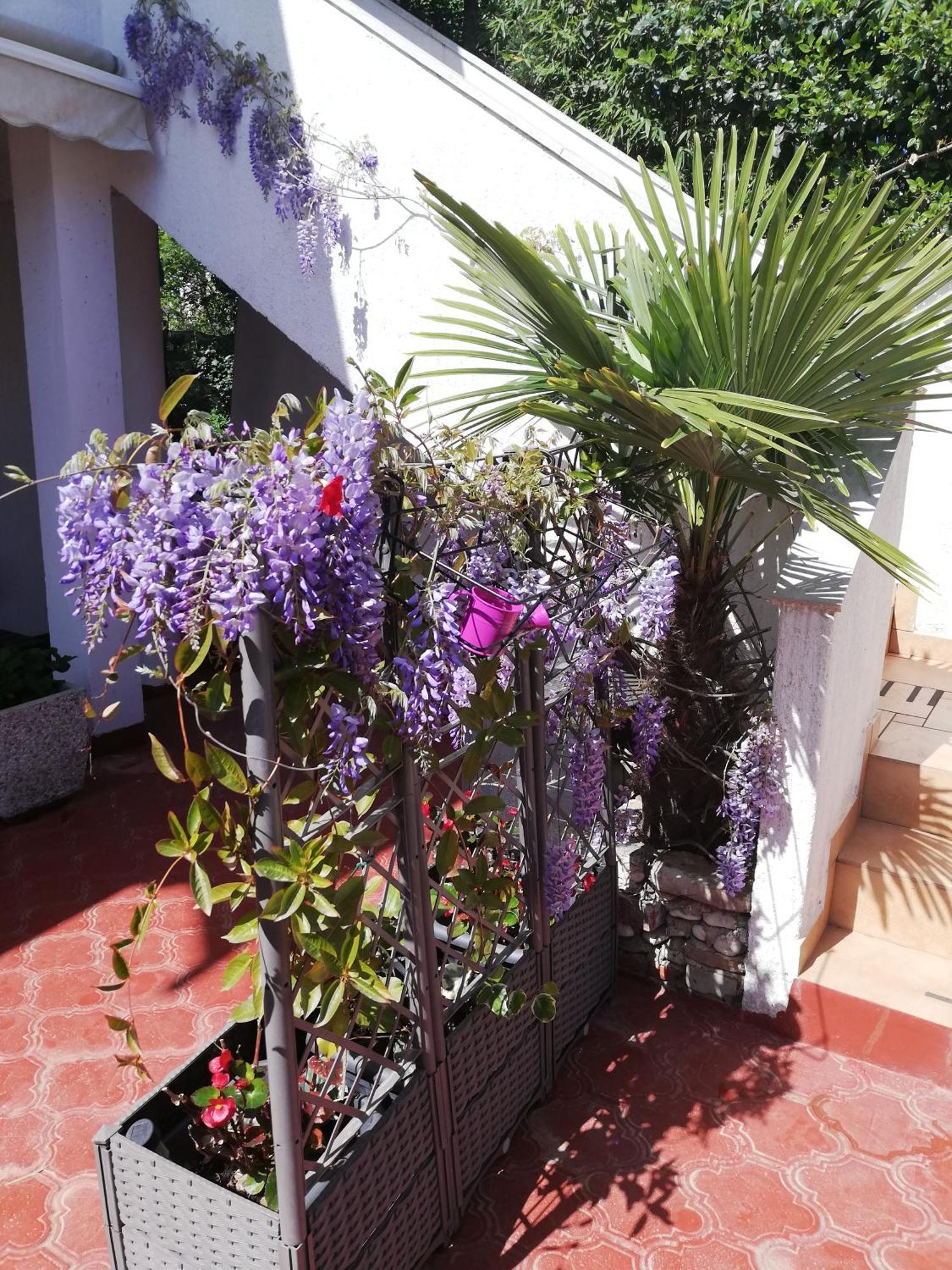 Poretti For 2,in Center Parking Free In The Yard,6 Min Walk Rovinj