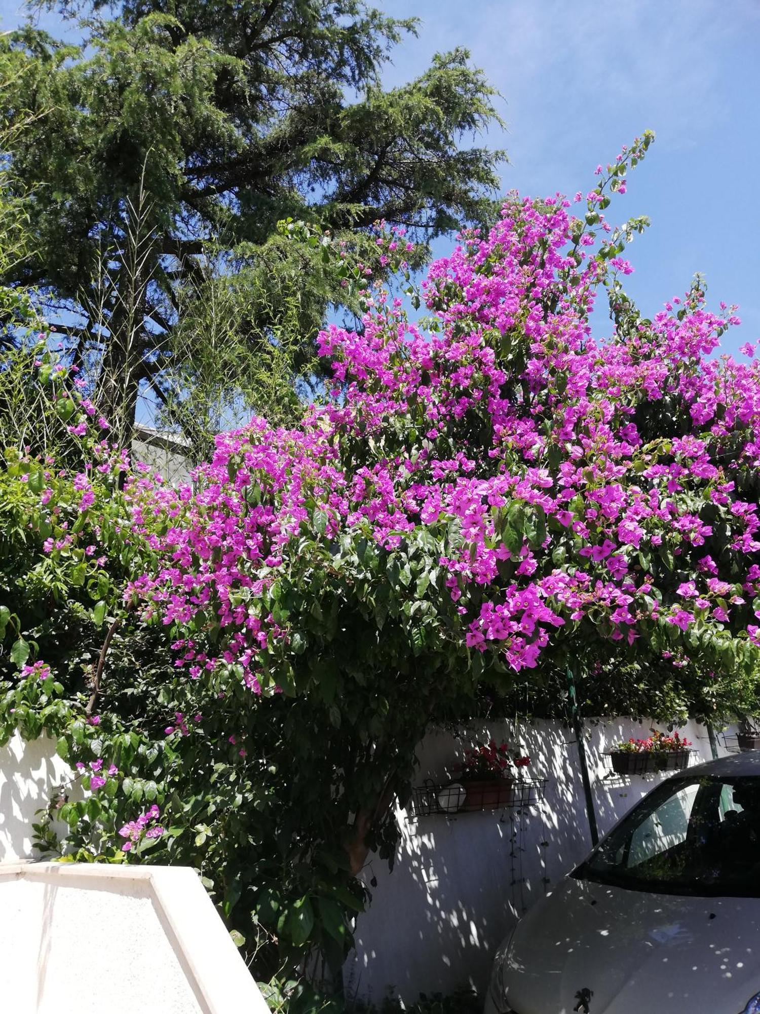 Poretti For 2,in Center Parking Free In The Yard,6 Min Walk * Rovinj